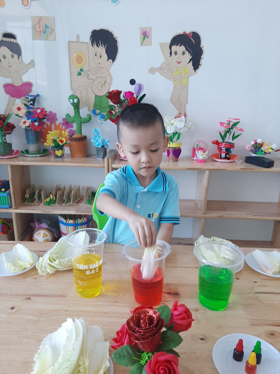 Mầm Non Kim Hà