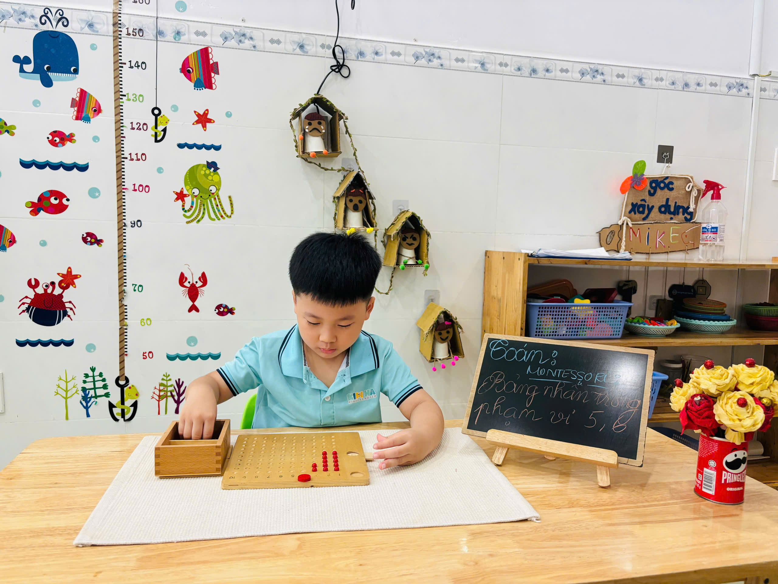 5 lĩnh vực cốt lõi trong Montesorri